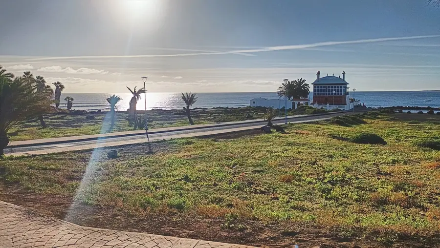 Seafront promenade and palms in Arrieta, Lanzarote