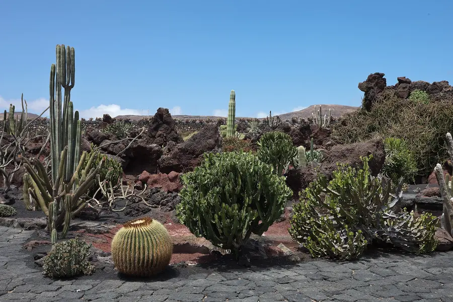 Jardín de Cactus, Guatiza, Lanzarote, Spain