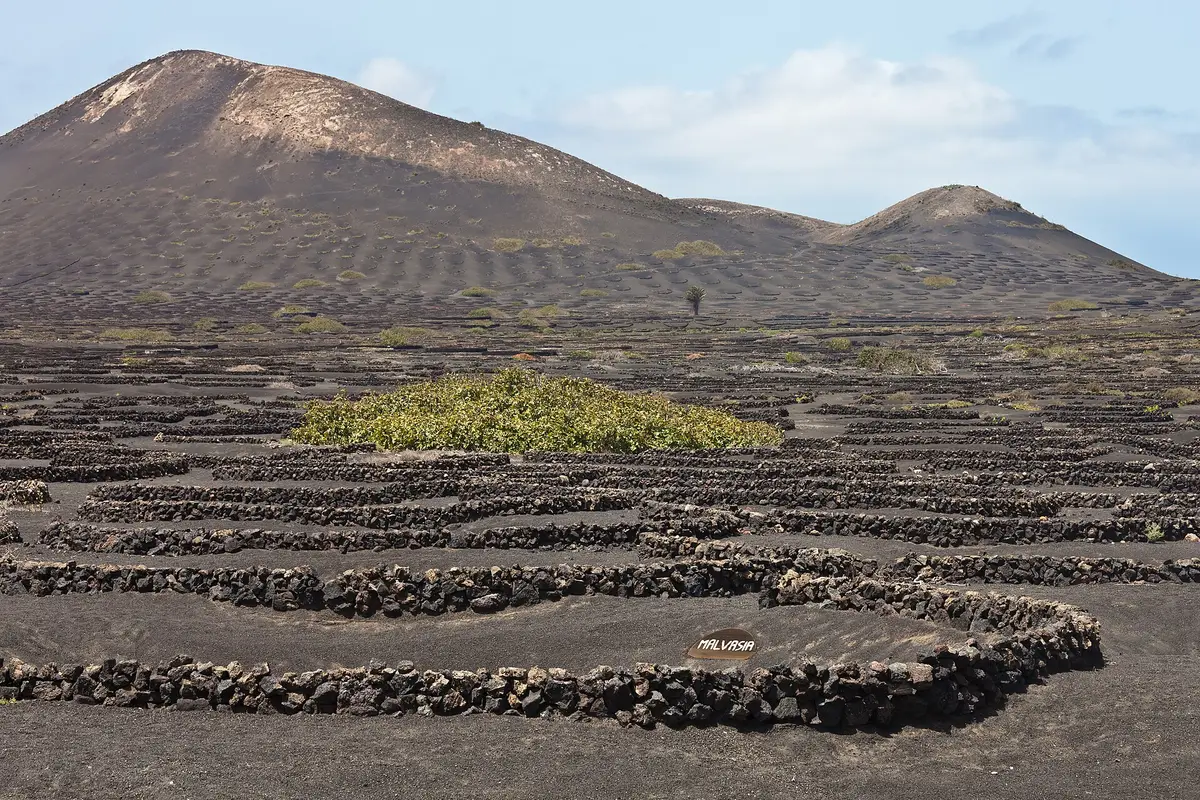 La Geria, Lanzarote